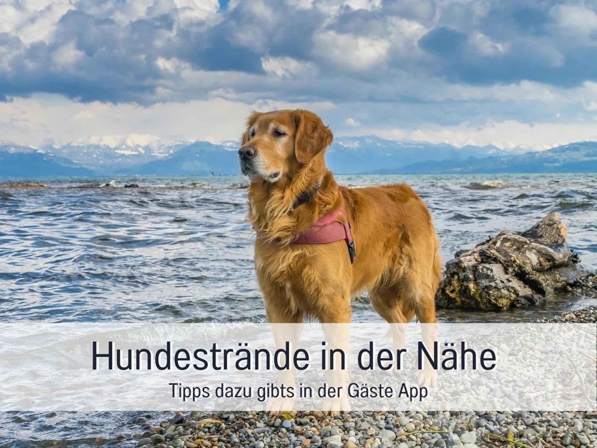 Sonnenterrasse - 3 Schlafzimmer, Whirlpool & Alpenblick - Perfekt Fuer Romantik Oder Familienurlaub Mit Kind , Hund Willkommen By Ferienwohnenamsee - Иберлинген Экстерьер фото