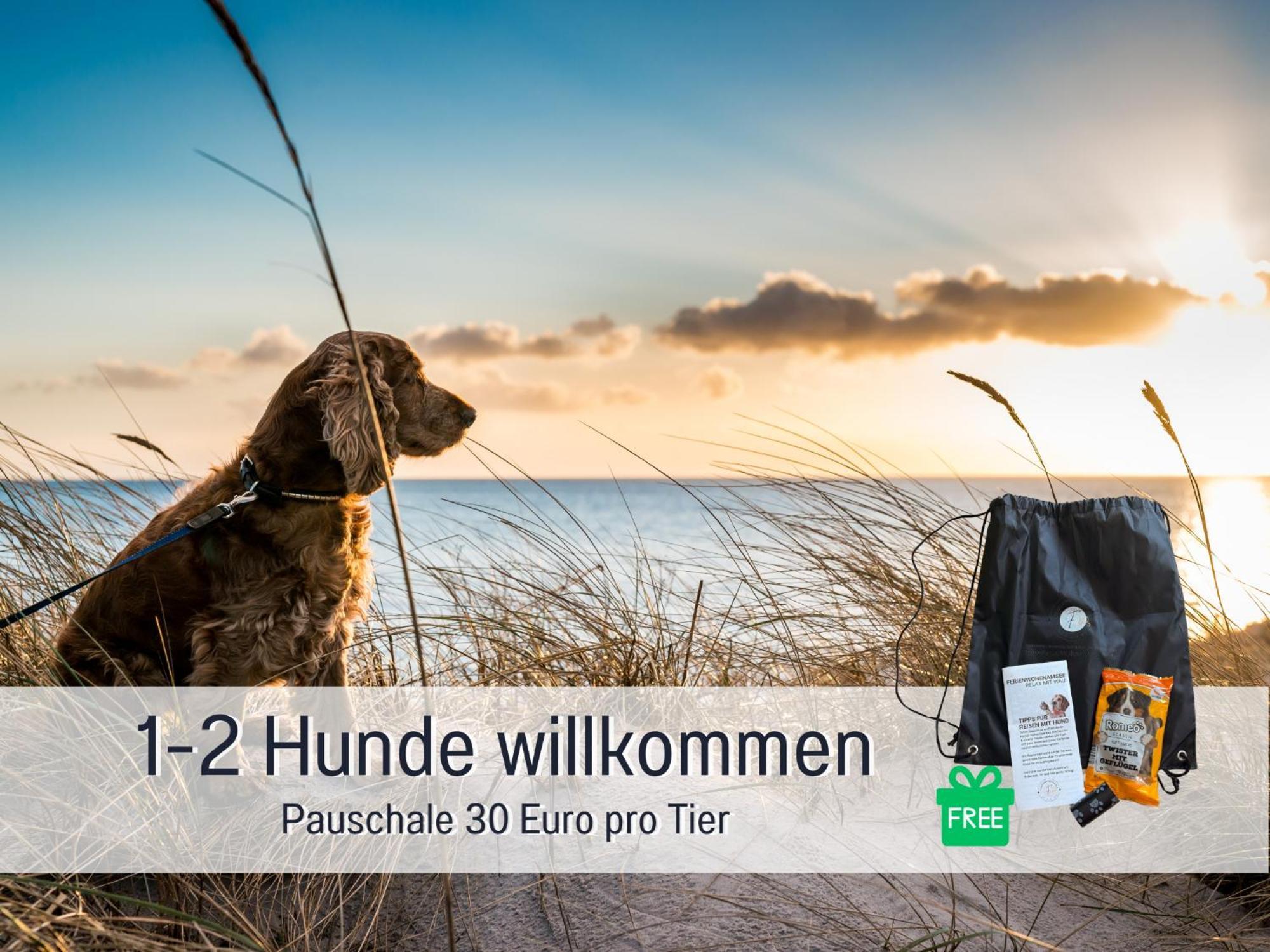 Sonnenterrasse - 3 Schlafzimmer, Whirlpool & Alpenblick - Perfekt Fuer Romantik Oder Familienurlaub Mit Kind , Hund Willkommen By Ferienwohnenamsee - Иберлинген Экстерьер фото