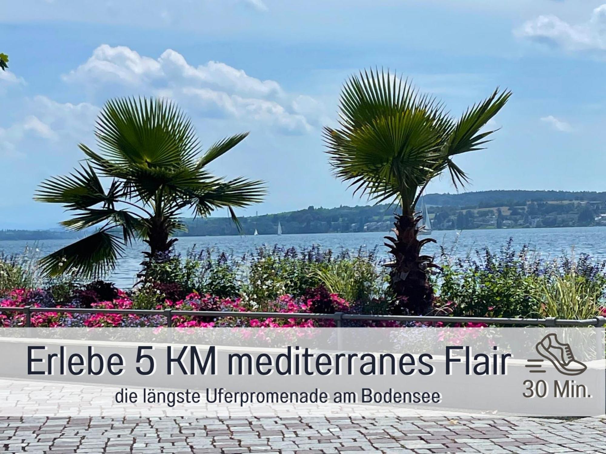 Sonnenterrasse - 3 Schlafzimmer, Whirlpool & Alpenblick - Perfekt Fuer Romantik Oder Familienurlaub Mit Kind , Hund Willkommen By Ferienwohnenamsee - Иберлинген Экстерьер фото